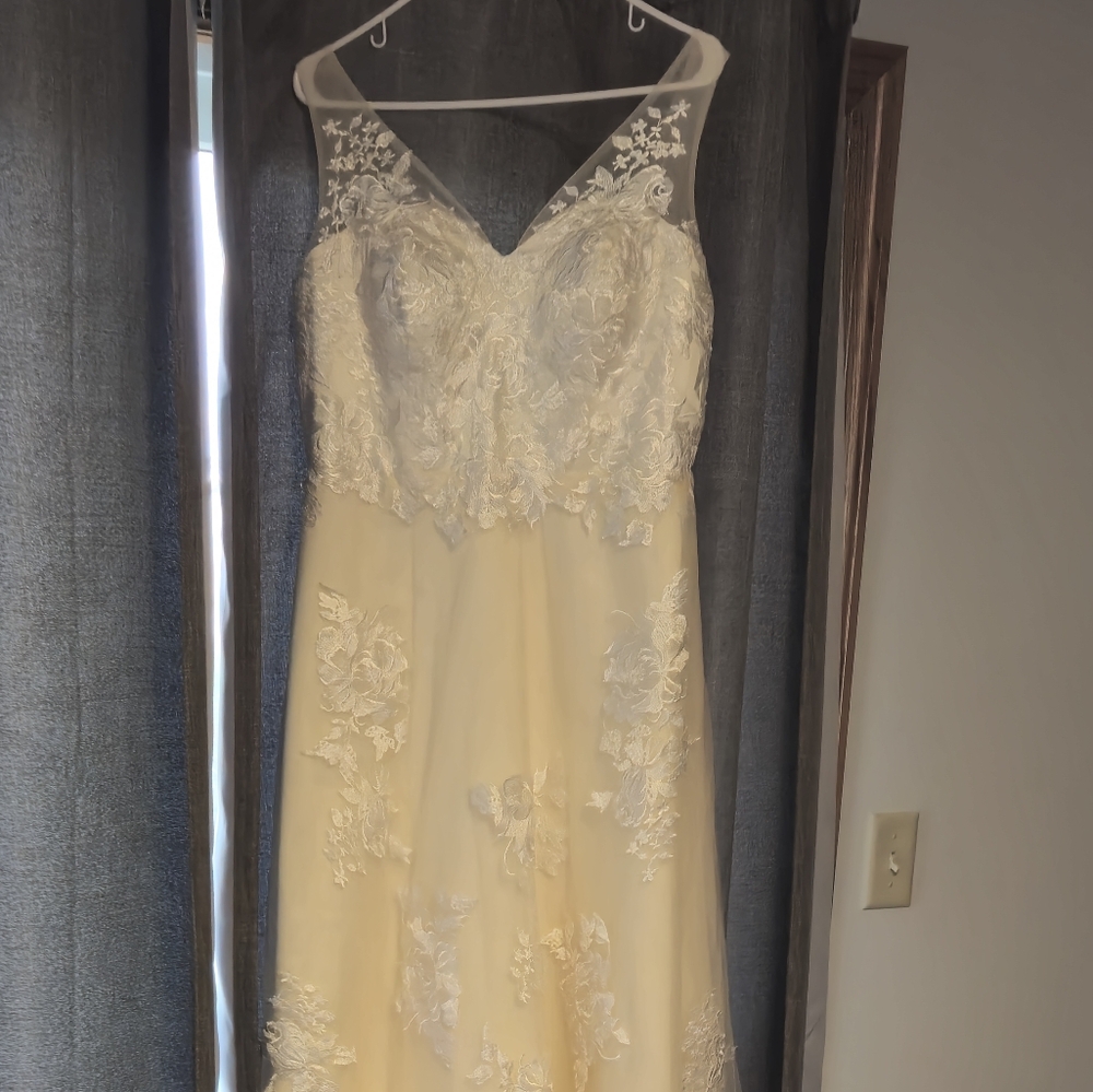 Champagne Color Wedding Gown w/ Floral Appliqués, fit similar street 14-16